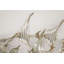 Coastal Wall Decor