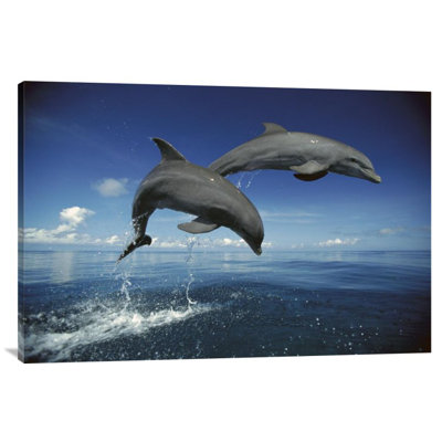 «Bottlenose Dolphin pair J passer, Caribbean» par Konrad Woth, impression sur toile tendue sur châssis