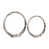 Argent argent sélectionné