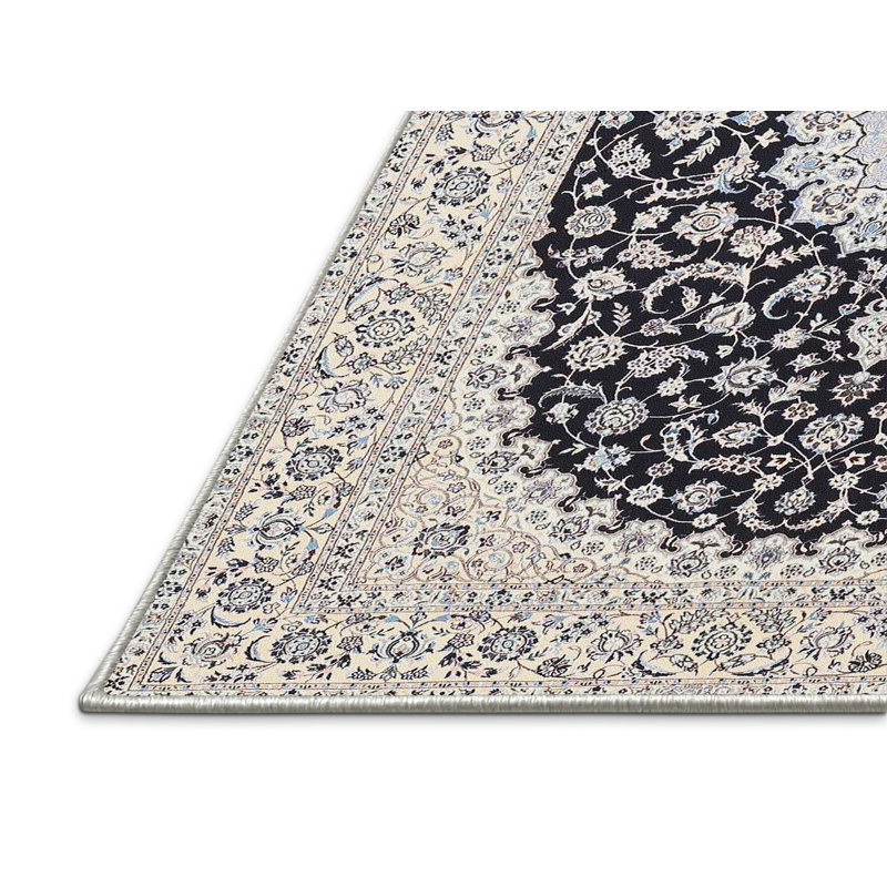 Igor Oriental Indoor Rug, Rectangle 2' x 4'