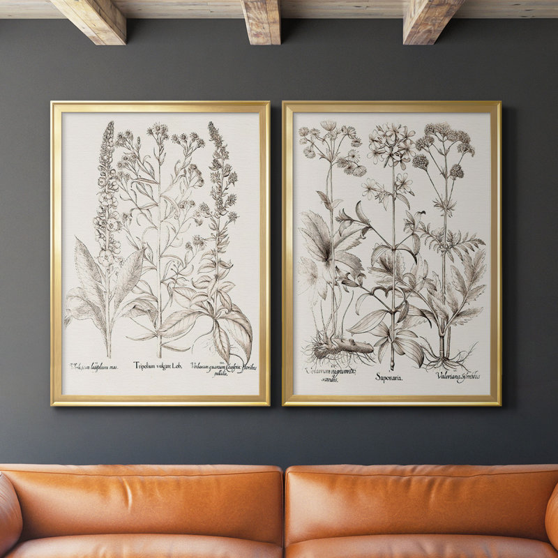 Sépia Besler Botanicals IX - ensemble de 2 reproductions d'art sur toile encadrées, Or, H 41,25 po x l 61 po x P 1,25 po