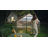 Polycarbonate Greenhouse For Outdoors, Walk-In Green House For Outside, Reinforced Aluminum Frame With Adjustable Roof Vent, Easy Assembly-124066565