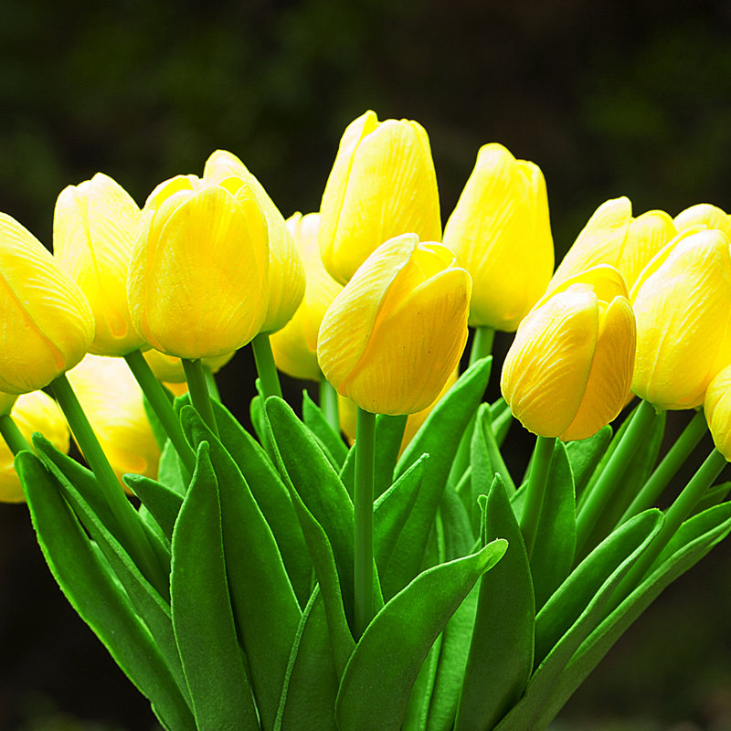 Silk Tulip Arrangement in Vase, Yellow