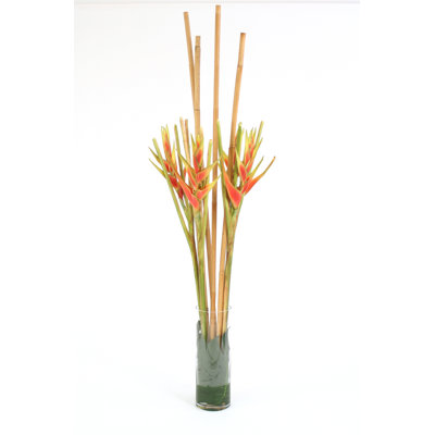 Waterlook Arrangement
