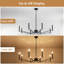 Lustre 8 lumières de style campagnard à 8 lumières de 43,7 po de largeur-1643205918