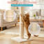 Grattoir pour chat 33 po-2104593738-2105478719