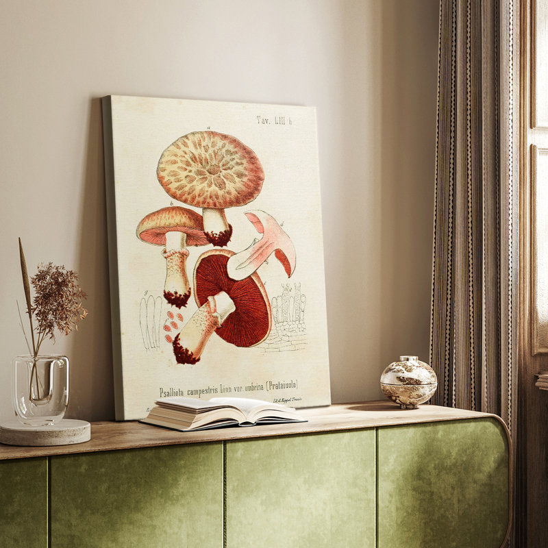Mushroom Variétés II - galerie Cavas sur mesure, H 18 po x l 12 po