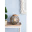 Lanterne globe-2128616054