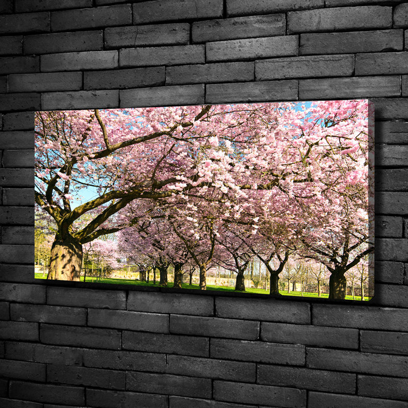 Cherry Trees - Wrapped Canvas Print, Canvas, 50cm H x 100cm W