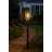 Seeded Lantern Head-52601821