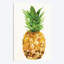 Pineapple I par PI Studio - Estampe numérique sur toile tendue avec châssis-31853486-73270496-73270501