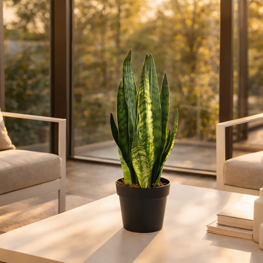 Leaf Design Tropical Artificial Plants 70cm Faux Sansevieria Plant in Pot Liner