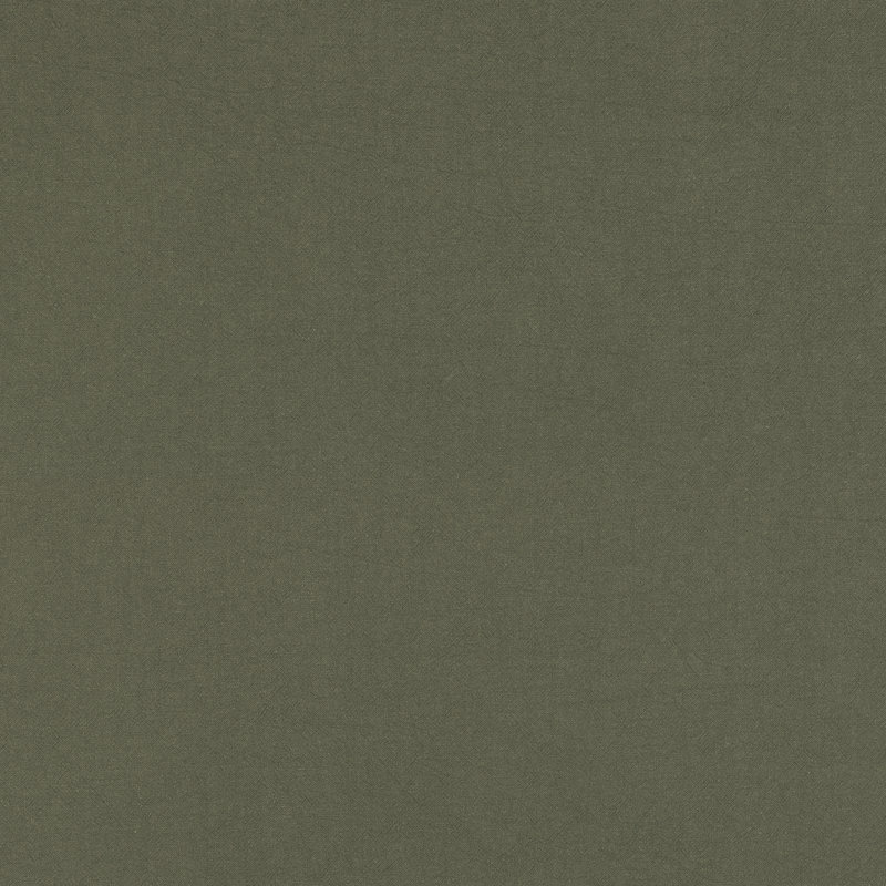 Archaeo Sarro Washed Cotton Semi-Sheer Tab Top Kitchen Curtain Tier Pair, 52" W x 45" L, Moss Green