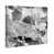 Toile tendue