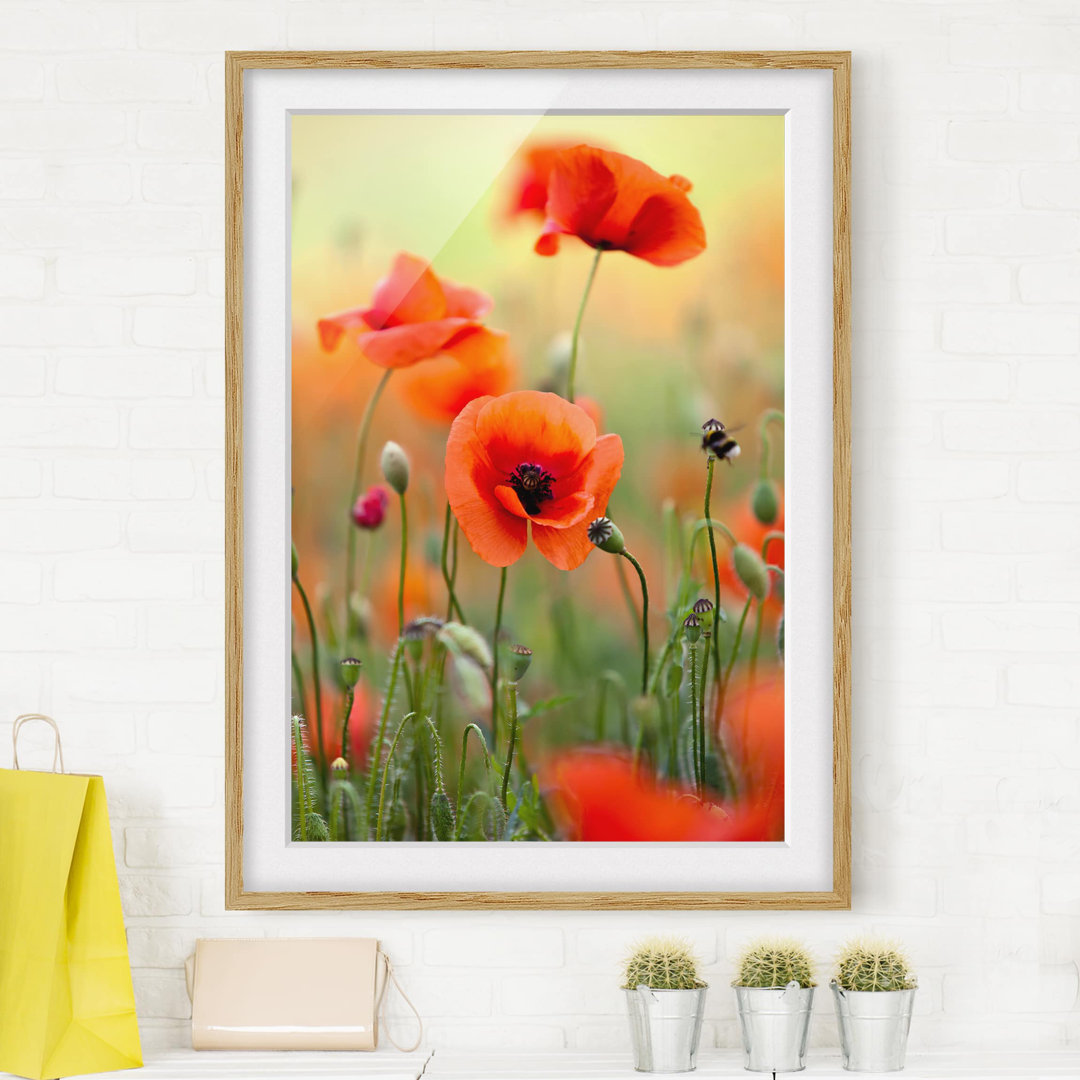 Gerahmter Fotodruck Red Summer Poppy