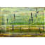 Parvez Taj - Wrapped Canvas Print-18387681