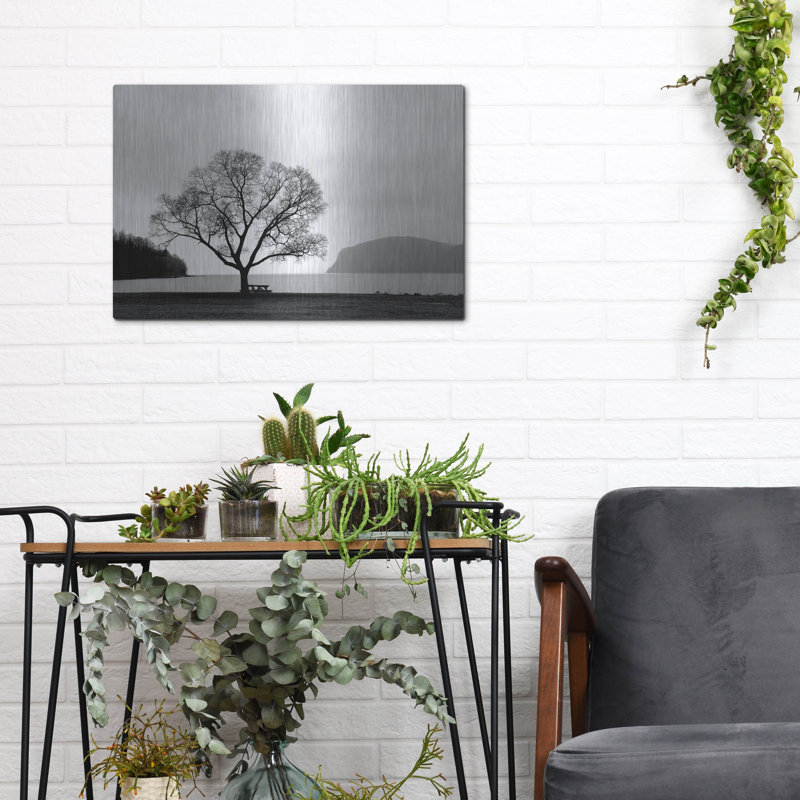 «Picnic Tree» par Photoinc Studio, art mural en métal, H 12 po x l 16 po