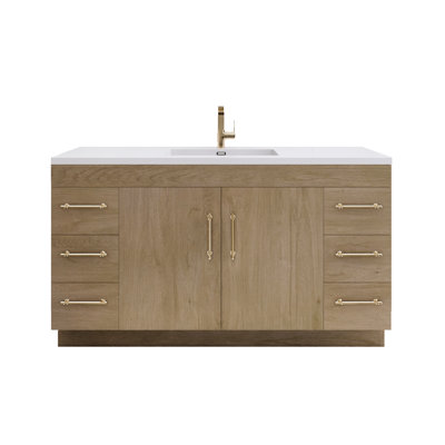 Elsa 60'' Single Bathroom Vanity with Acrylic Top | Wayfair