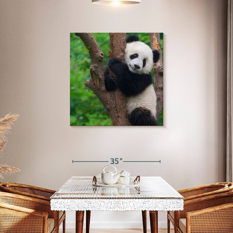 Brampt Adorable Panda, 36" H x 36" W