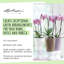 Deltini Pot Planter-26992081