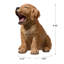 Animals Weather Resistant Polyresin Garden Statue