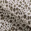 Leopardos-407389384