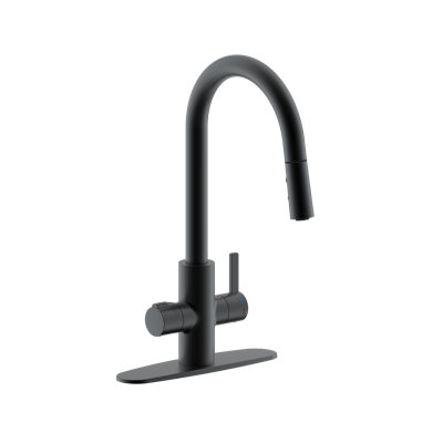 4 in 1 Single Handle Kitchen Faucet with Push Button Dual Spray Mode Pull Down Nozzle Head