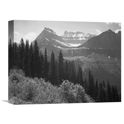 " Trees, Bushes And Mountains, Glacier National Park, Montana - 1941 " by Ansel Adams