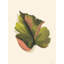 Feuille tropicale I par House Fenway-1804204875-1804204885