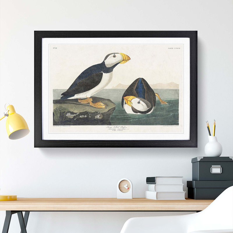 Atlantic Puffins by John Audubon - Single Picture Frame Painting, 45cm H x 63cm W x 2cm D, Black Framed