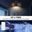 31" Caged Ceiling Fan with Dimmable Light Kit and Remote Control-2138851293