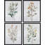 «Green Wildflowers Floral Botanical», ensemble de 4 reproductions de cadres photo simples-97782265-97782268