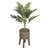 36'' Faux Palm Tree in Cement Planter