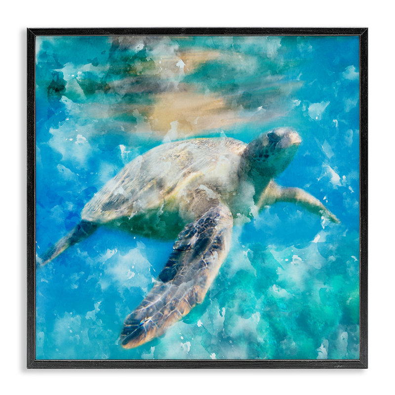 Tortue de mer aquatique, giclée par Kim Allen, Noir, noir, noir, noir, H 12 po x l 12 po