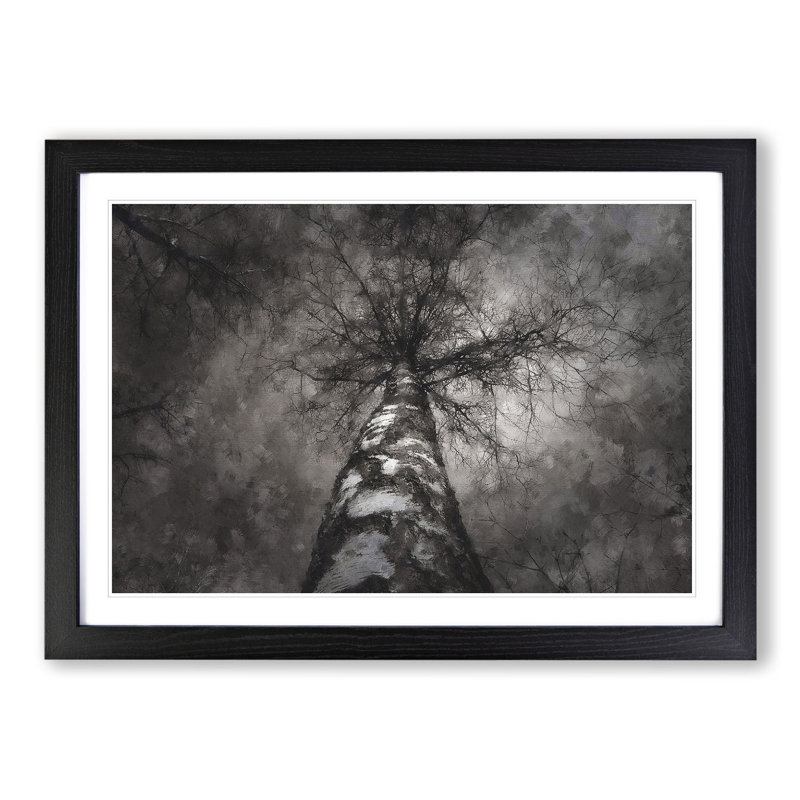 Birch Tree - Picture Frame Painting, 27cm H x 36cm W x 2cm D, Black Framed