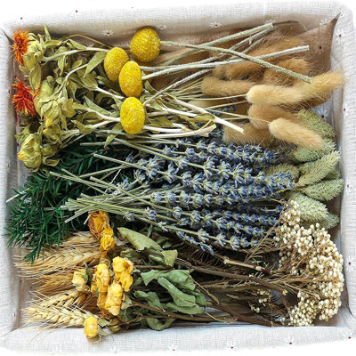 Ensemble de fleurs séchées bricolage, fleurs séchées en vrac pour vase, fleurs séchées avec tiges, roses séchées, mini bouquets de fleurs séchées.