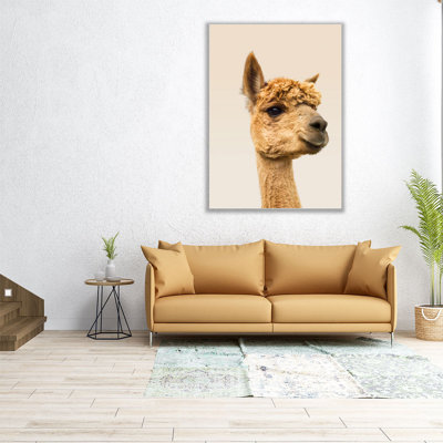 Gros plan sur un alpaga - reproduction d'art sur toile