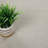 Pensford Indoor Rug-22588243