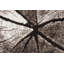 Guisborough Abstract Area Rug-1317144277