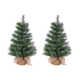 Unlit Hard Needle Pine With 76 Tips