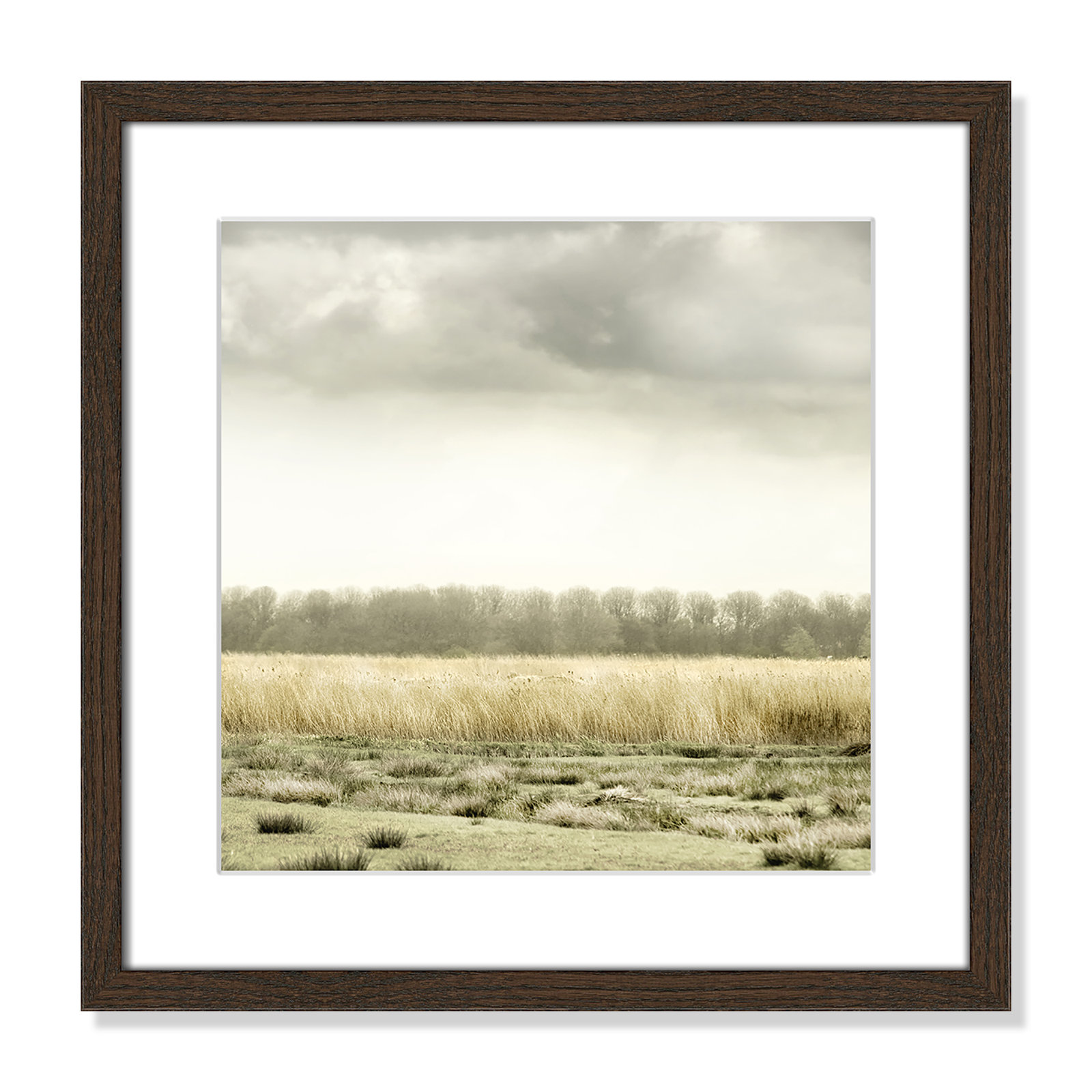 Henri "Meadowland" Print by Danita Delimont, 17" H x 17" W , Walnut Wood Grain