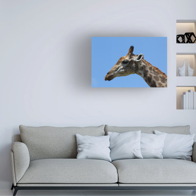Art sur toile, bolognaise, Bob Langrish