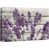 Wrapped Canvas selected