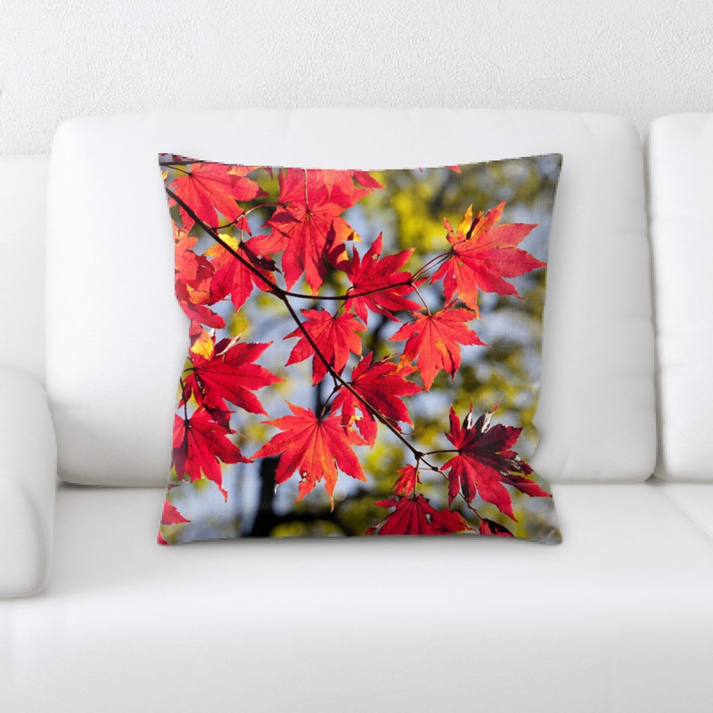 Coussin d’automne