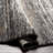 Brod Indoor Rug-1842592705