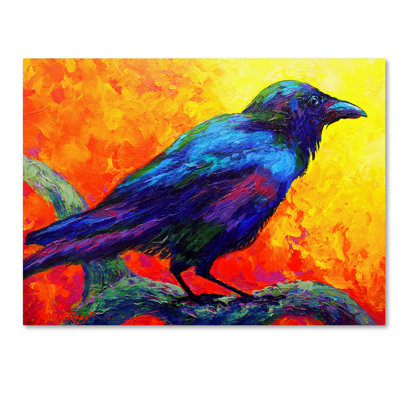 Kucera 'Raven 1' Print on Wrapped Canvas