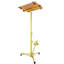Steel Small Step Ladder