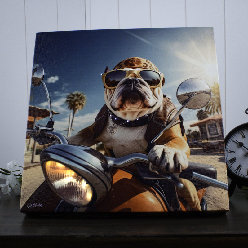 Toile avec fibre optique 10 x 10 Bulldog