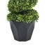 90cm Plant
