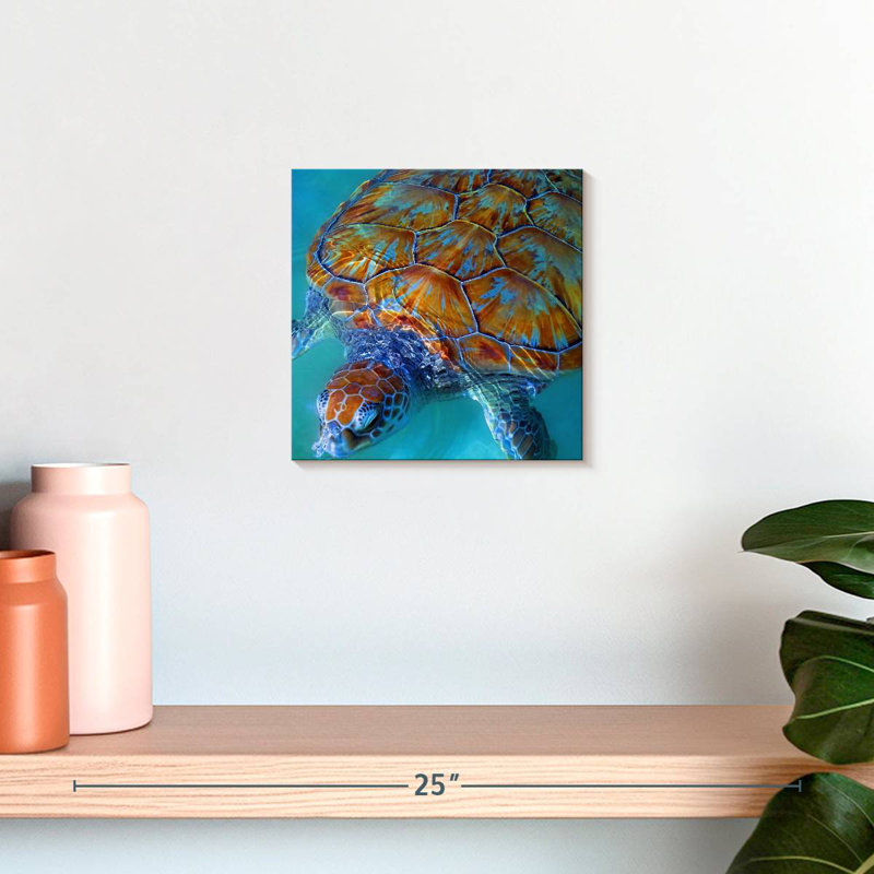 Brampt Cayman Sea Turtle, 10" H x 10" W